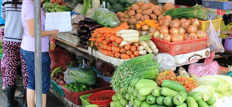 Дайкон: описание, польза, вред, рекомендации по употреблению и ...