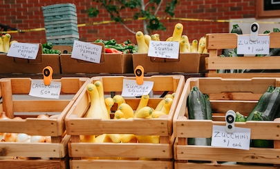 Продукт Тупа: польза и вред, применение для взрослых и детей, возможность использования для похудения.