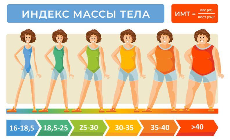 Как рассчитать индекс массы тела