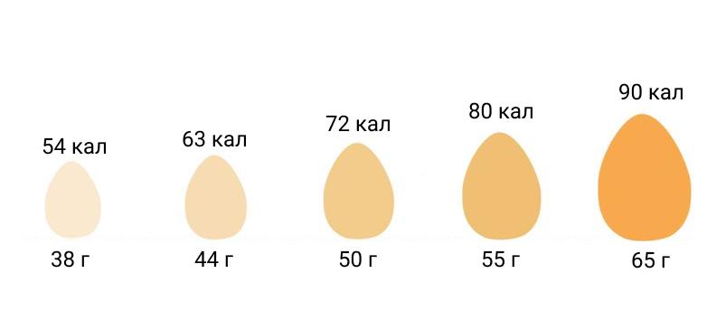 Яйца на завтрак: польза или вред?