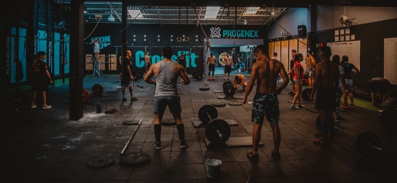 Основные мышцы верхней части тела